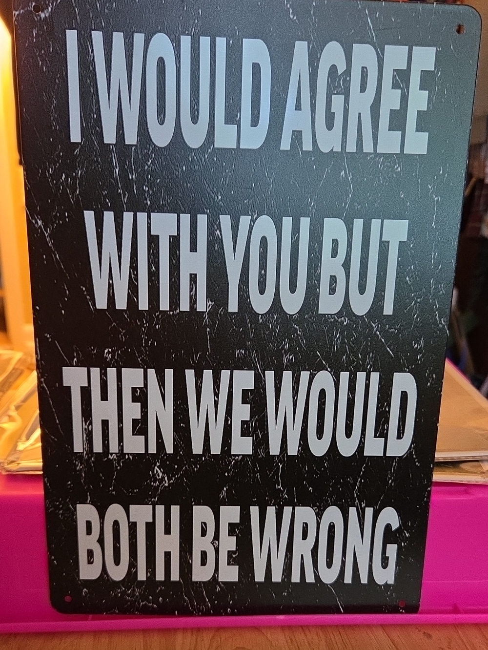 Black and White Humorous Wall Sign - I Would Agree With You